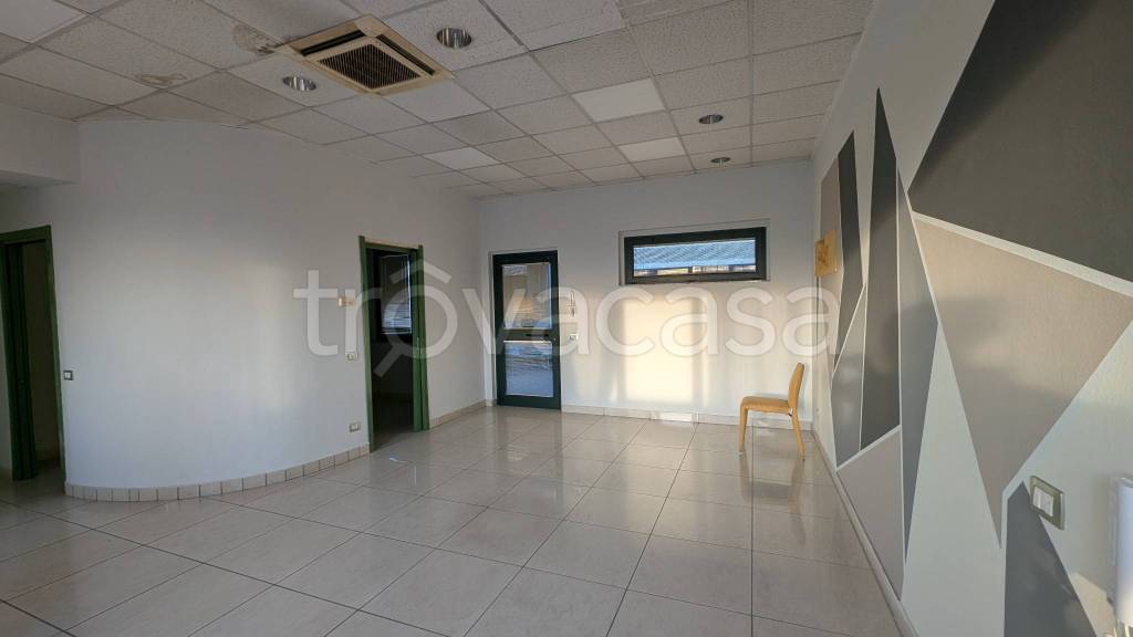 attico in vendita a Trezzano Rosa