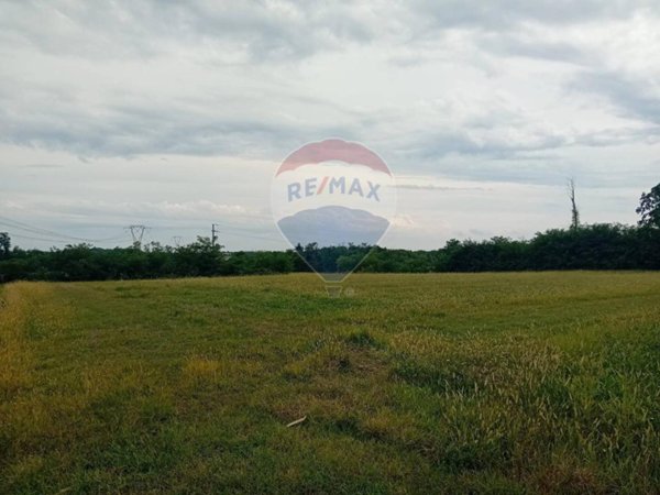 terreno agricolo in vendita a Trezzano Rosa