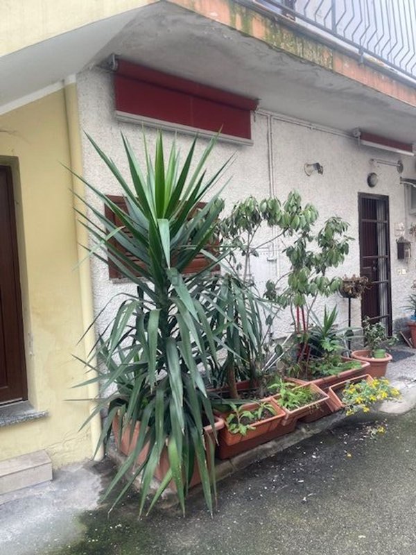 appartamento in vendita a Trezzano Rosa