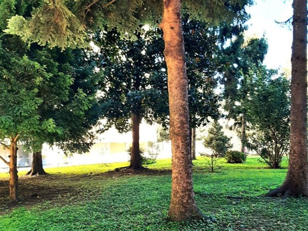 appartamento in vendita a Trezzano sul Naviglio