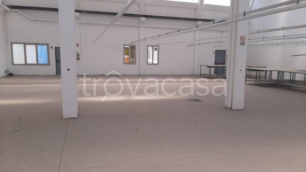 immagine annuncio 0 di 15