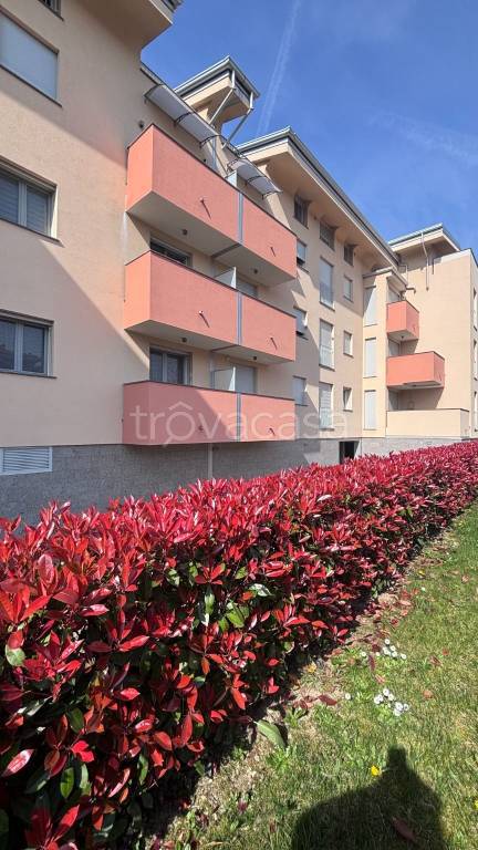 appartamento in vendita a Trezzano sul Naviglio