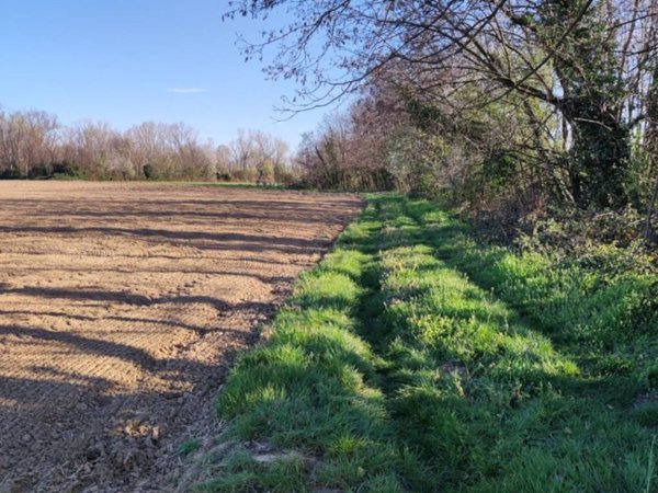 terreno agricolo in vendita a Trezzo sull'Adda