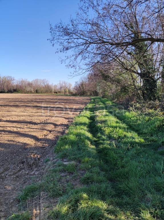 terreno agricolo in vendita a Trezzo sull'Adda
