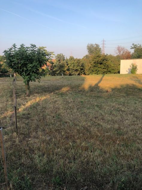 casa indipendente in vendita a Trezzo sull'Adda in zona Concesa