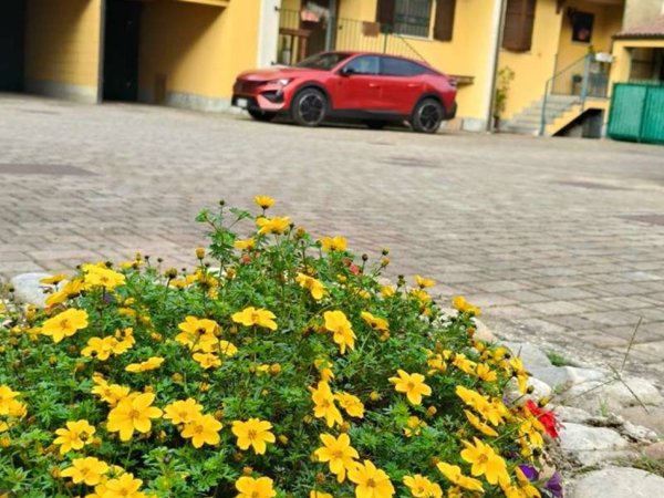 casa indipendente in vendita a Tribiano