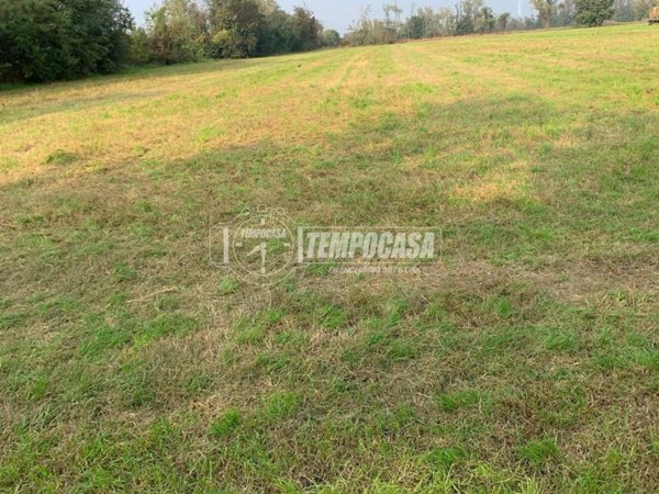 terreno agricolo in vendita a Truccazzano