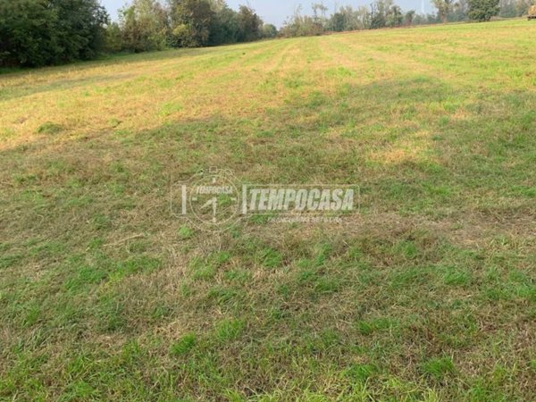 terreno agricolo in vendita a Truccazzano
