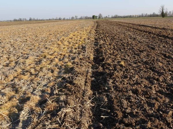 terreno agricolo in vendita a Truccazzano in zona Albignano
