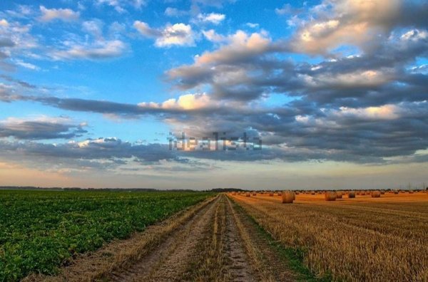 terreno agricolo in vendita a Truccazzano in zona Albignano