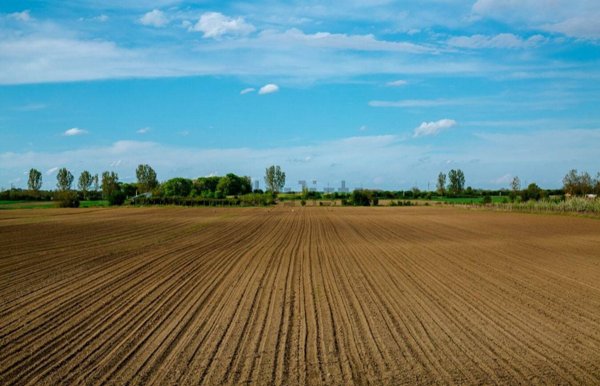 terreno agricolo in vendita a Truccazzano in zona Albignano
