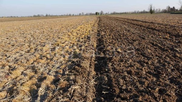 terreno agricolo in vendita a Truccazzano in zona Albignano
