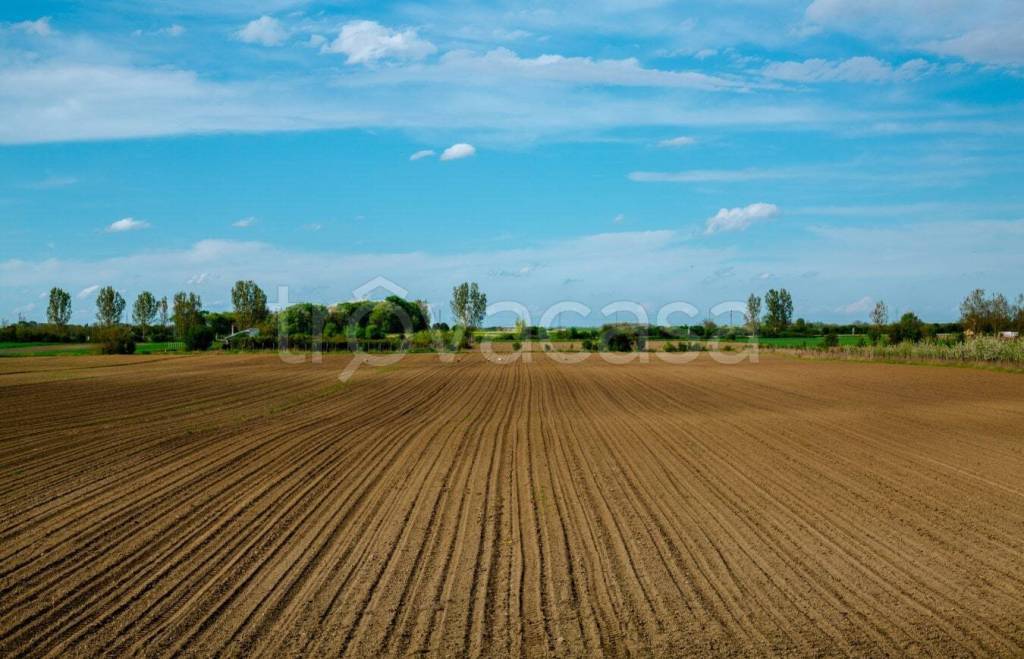 terreno agricolo in vendita a Truccazzano in zona Albignano