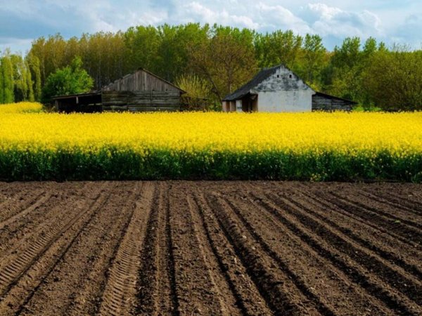 terreno agricolo in vendita a Truccazzano in zona Albignano