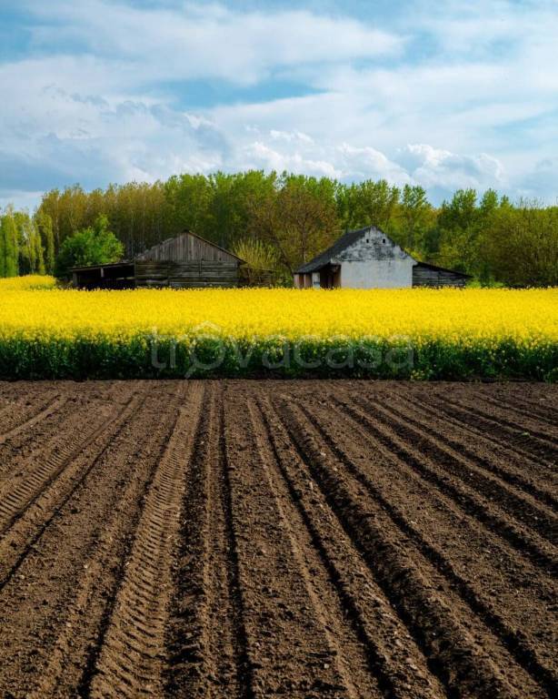 terreno agricolo in vendita a Truccazzano in zona Albignano