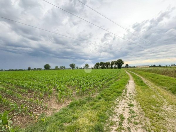 terreno agricolo in vendita a Truccazzano in zona Corneliano Bertario