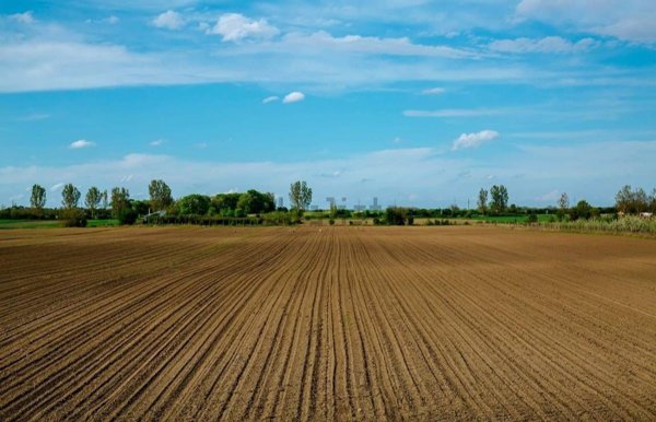 terreno agricolo in vendita a Truccazzano in zona Cavaione