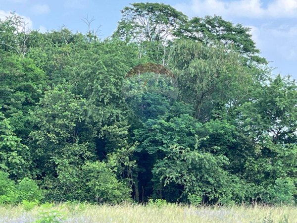 terreno agricolo in vendita a Turbigo