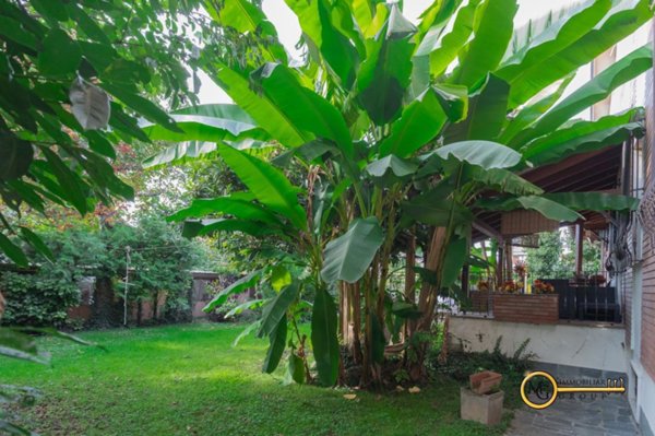 casa indipendente in vendita a Vignate