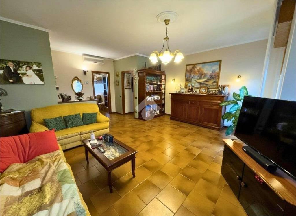 immagine annuncio 0 di 15