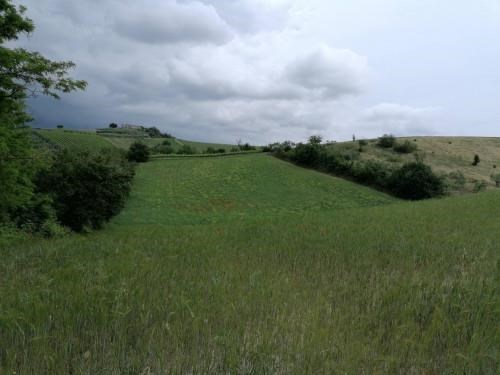 terreno agricolo in vendita a Vignate in zona San Pedrino