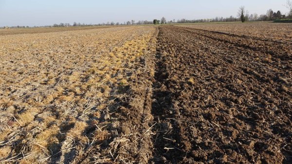 terreno agricolo in vendita a Vignate