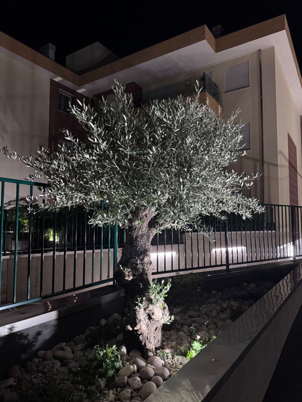 appartamento in vendita a Vignate in zona San Pedrino