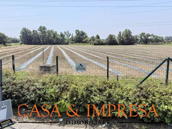 terreno agricolo in vendita a Vimodrone