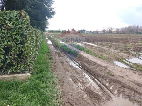 terreno agricolo in vendita a Vittuone