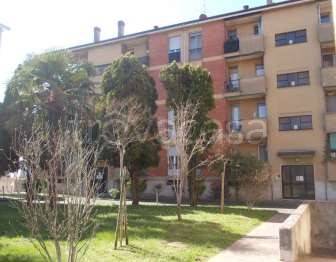 appartamento in vendita a Vittuone
