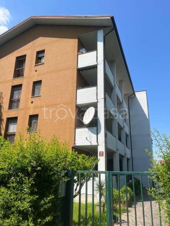 appartamento in vendita a Vizzolo Predabissi