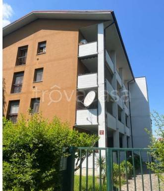 appartamento in vendita a Vizzolo Predabissi