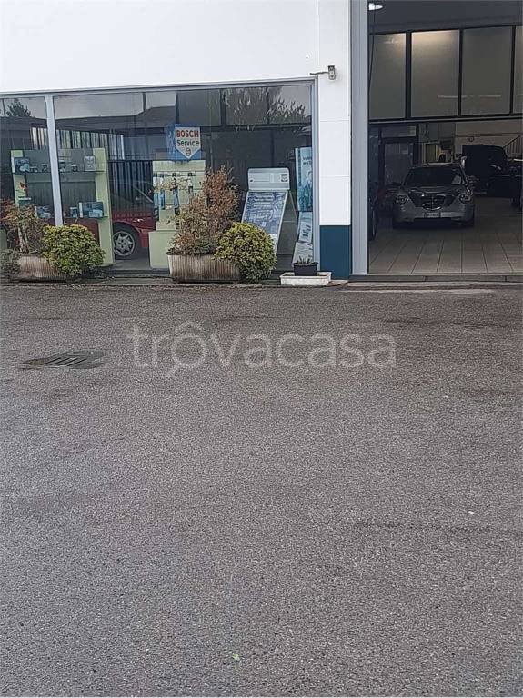 immagine annuncio 0 di 8