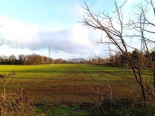 terreno agricolo in vendita a Villa Cortese
