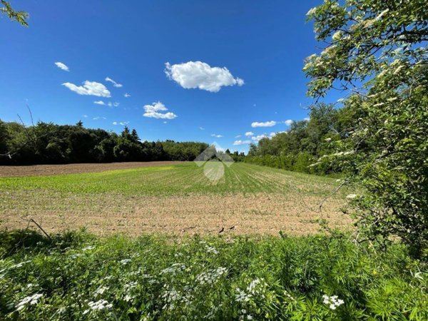 terreno agricolo in vendita a Villa Cortese