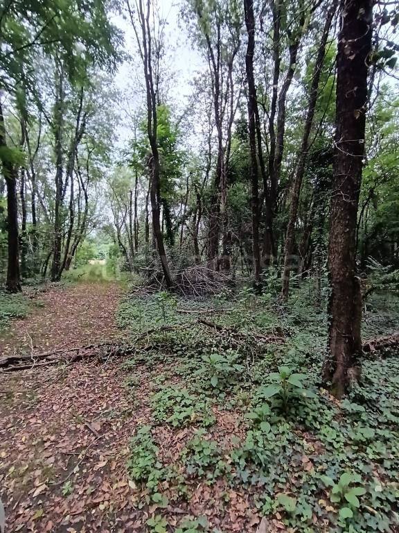 terreno agricolo in vendita a Villa Cortese