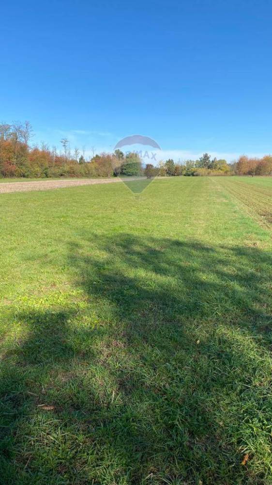 terreno agricolo in vendita a Vanzaghello