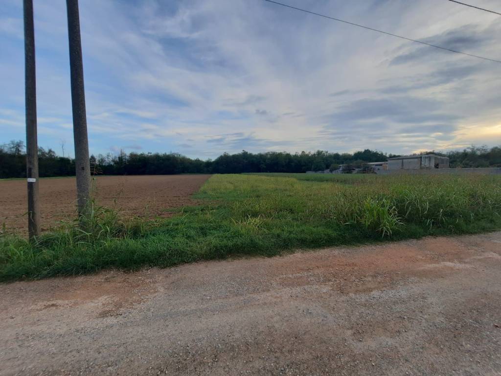 terreno agricolo in vendita a Vanzaghello