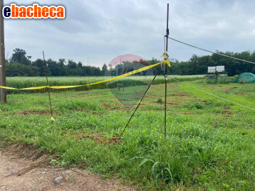terreno agricolo in vendita a Vanzaghello