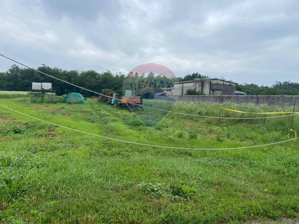 terreno agricolo in vendita a Vanzaghello