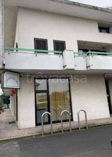 appartamento in vendita a Vanzaghello