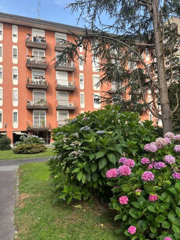 appartamento in vendita a Baranzate