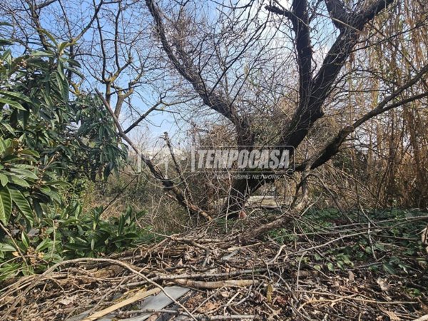 terreno edificabile in vendita a Baranzate