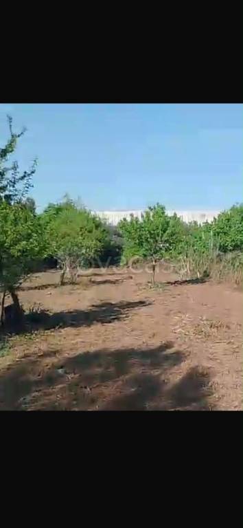 terreno in vendita a Baranzate