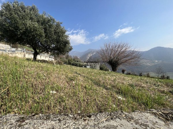 terreno agricolo in vendita ad Adrara San Martino