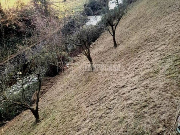 casa indipendente in vendita ad Adrara San Martino