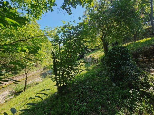 casa indipendente in vendita ad Adrara San Martino