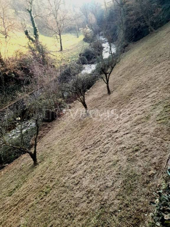 casa indipendente in vendita ad Adrara San Martino