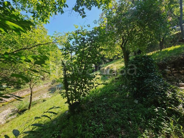 casa indipendente in vendita ad Adrara San Martino