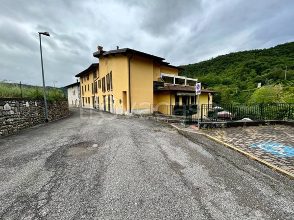 immagine annuncio 0 di 15